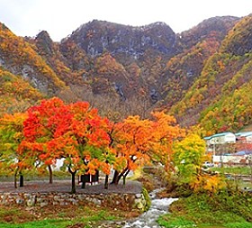 갤러리 이미지 4