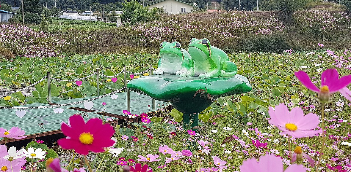 아람마을 대표 이미지