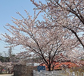 갤러리 이미지 7