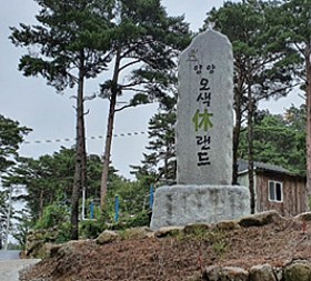 갤러리 이미지 2