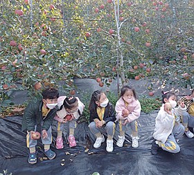 갤러리 이미지 2