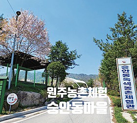갤러리 이미지 2