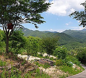 갤러리 이미지 3