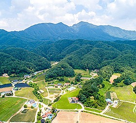 갤러리 이미지 1