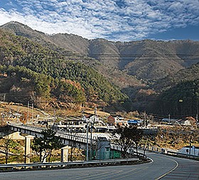 갤러리 이미지 2