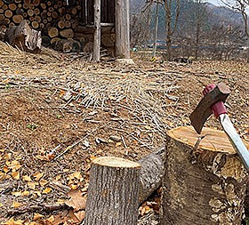 갤러리 이미지 3