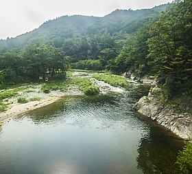 갤러리 이미지 1