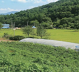 갤러리 이미지 1
