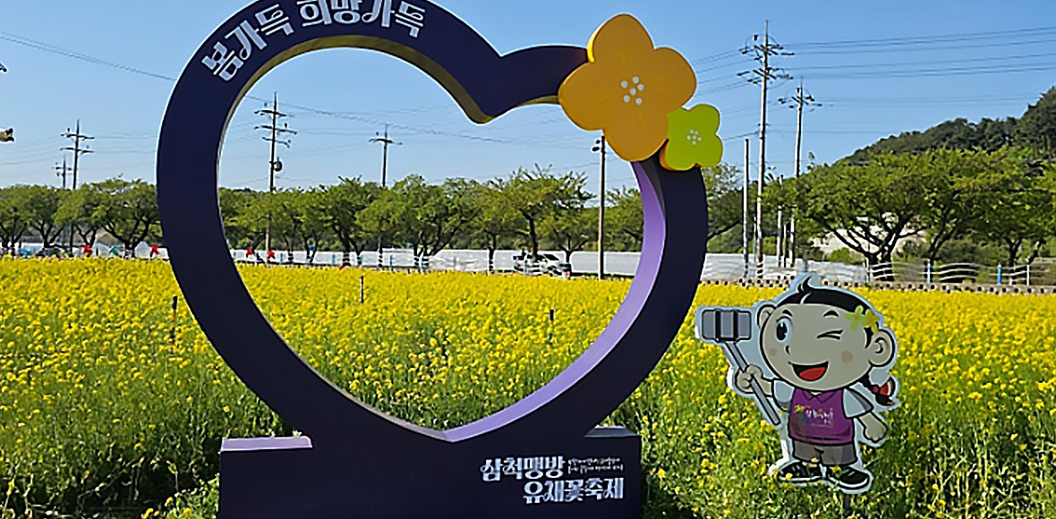 맹방유채꽃마을 대표 이미지