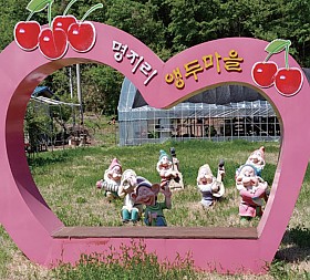 갤러리 이미지 1