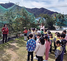 갤러리 이미지 3