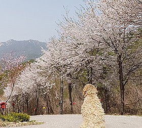 갤러리 이미지 1