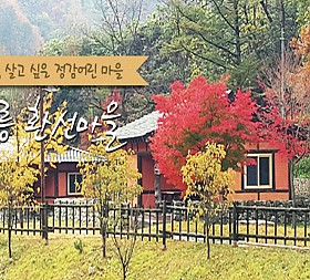 갤러리 이미지 1