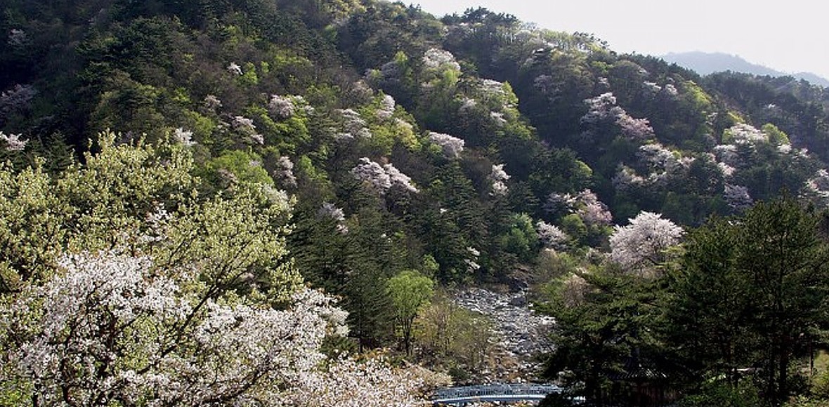 설악산오색마을 대표 이미지