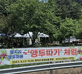 갤러리 이미지 2