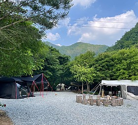 갤러리 이미지 1