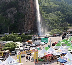 갤러리 이미지 1