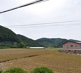 갤러리 이미지 1
