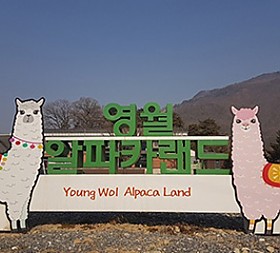 갤러리 이미지 1