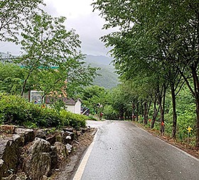 갤러리 이미지 4