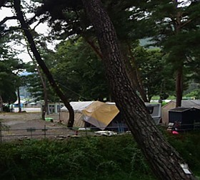 갤러리 이미지 1