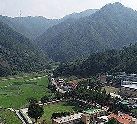 갤러리 이미지 4