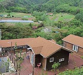 갤러리 이미지 1