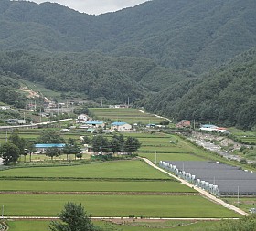갤러리 이미지 1