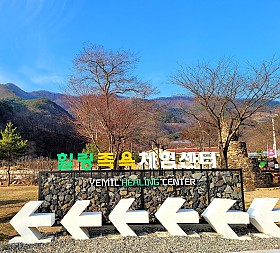 갤러리 이미지 1