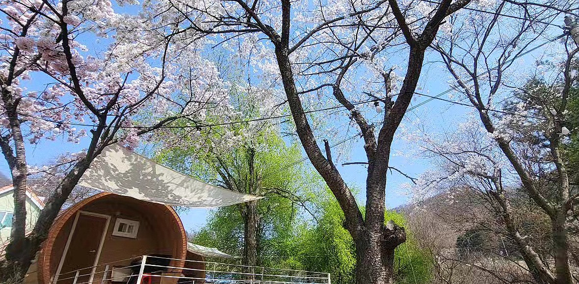 다람이마을 대표 이미지