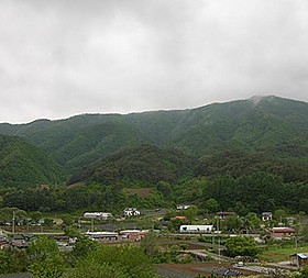 갤러리 이미지 5