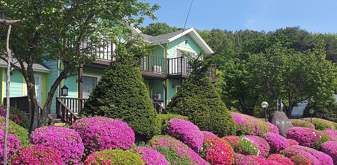 철새마을 대표 이미지