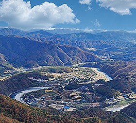 갤러리 이미지 1