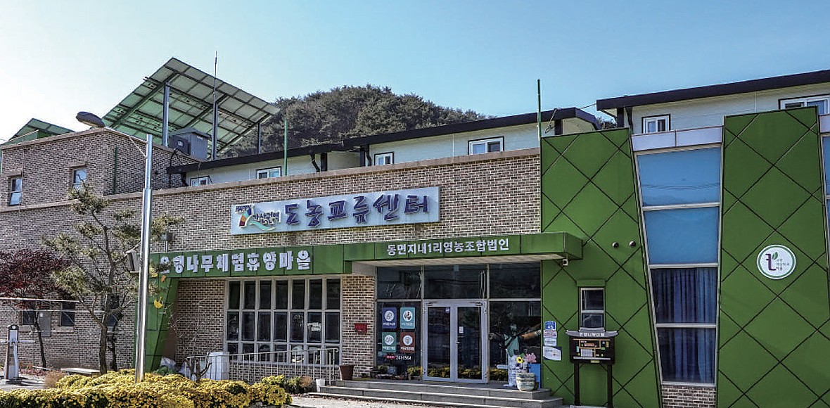 은행나무마을 대표 이미지