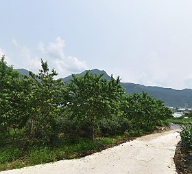 갤러리 이미지 1