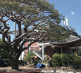 갤러리 이미지 1