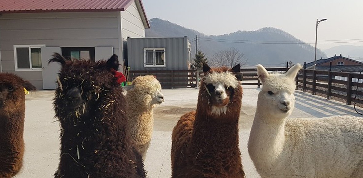 사슬치마을 대표 이미지